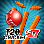 T20 Cricket 2017